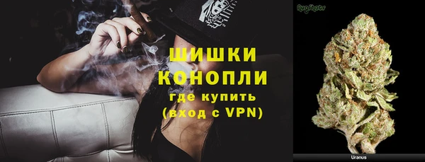 PSILOCYBIN Сатка