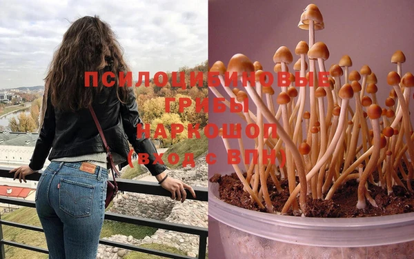 бутират Белоозёрский