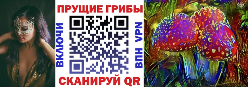 Псилоцибиновые грибы Psilocybe  цены   Великие Луки 